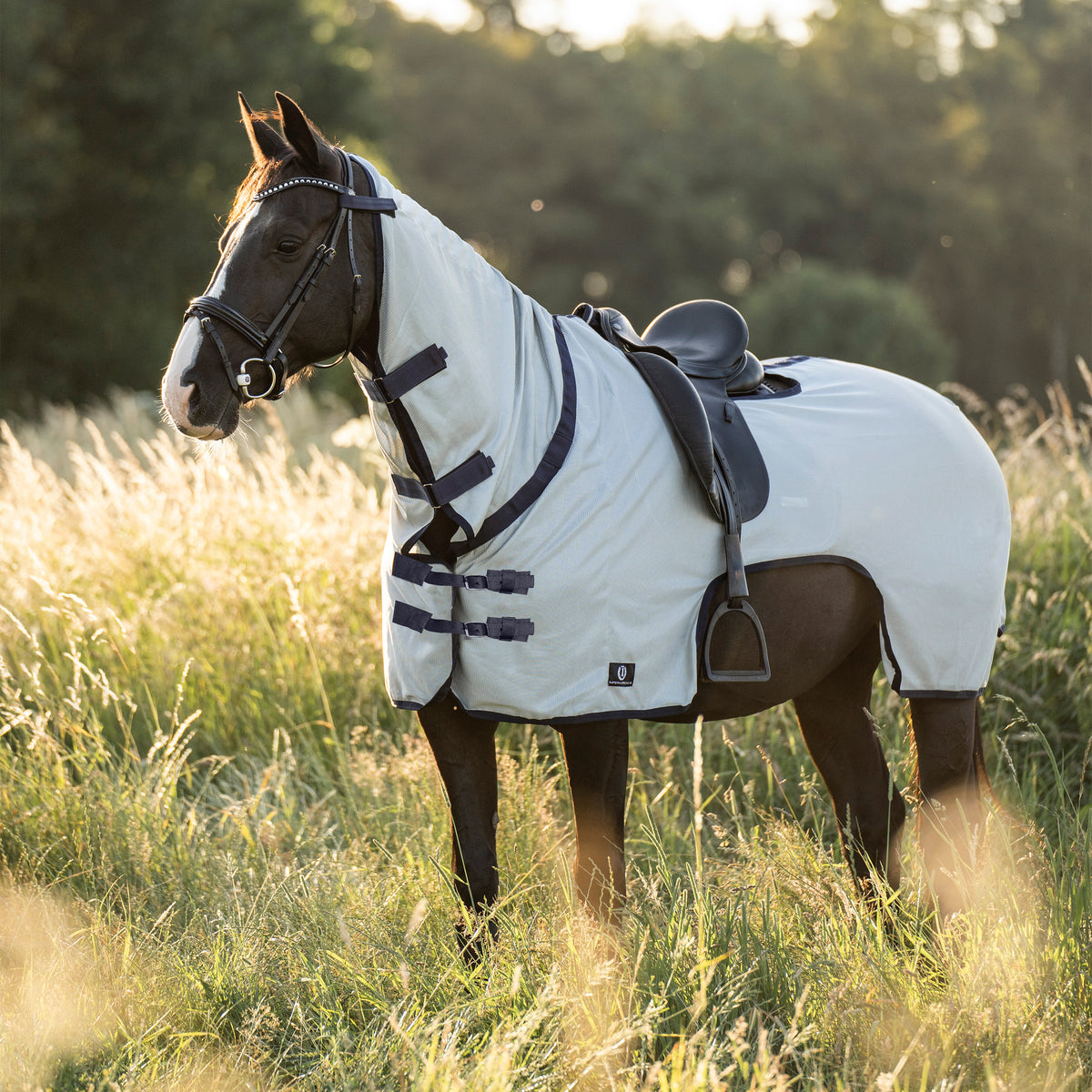 Fly-Exercise blanket IRHRoyce