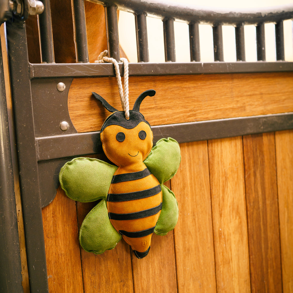 IRHStable buddy Bee happy