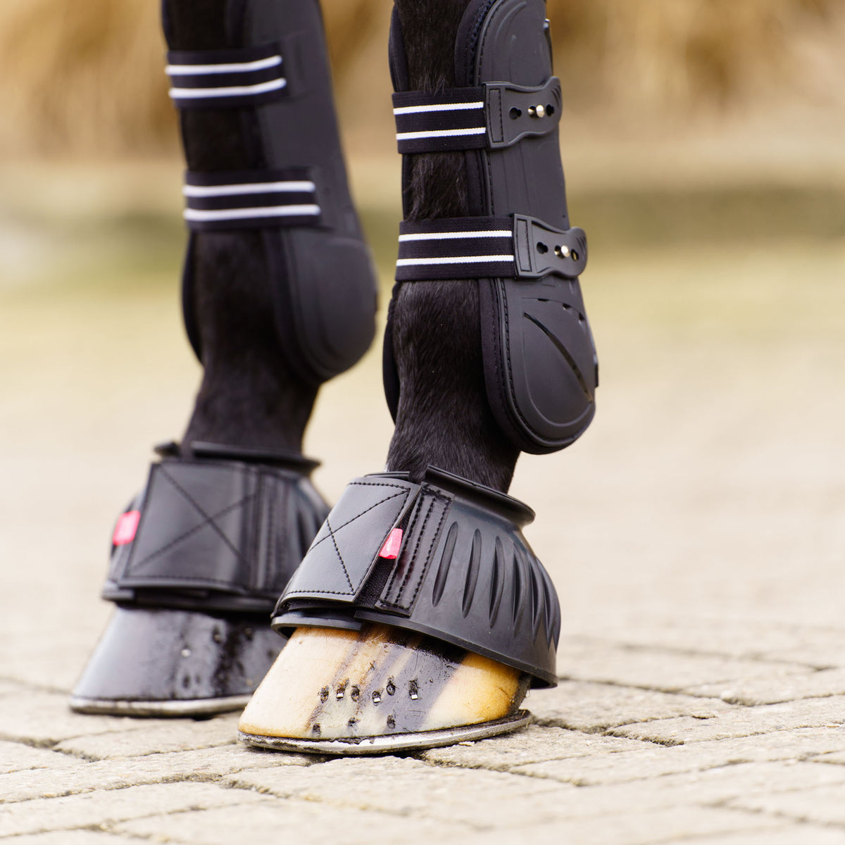 Bellboots IRHBells