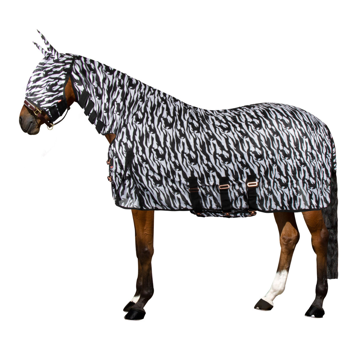 Fly blanket IRHCarly