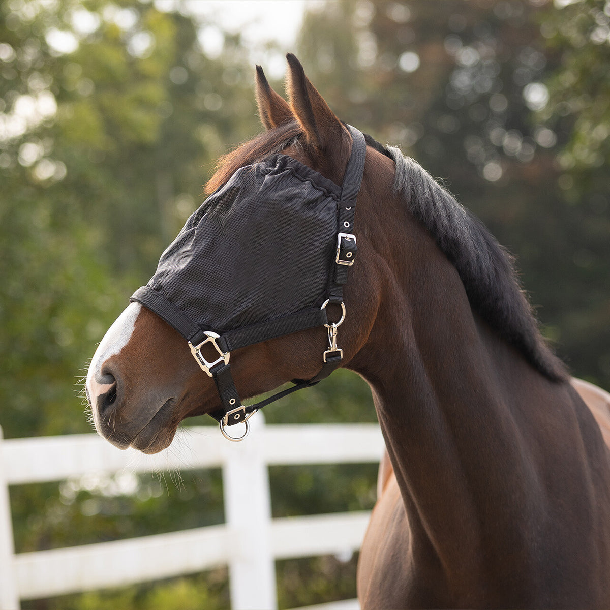 Halter-fly mask combi