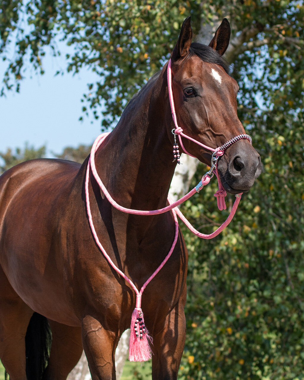 Rope halter combi Liberty