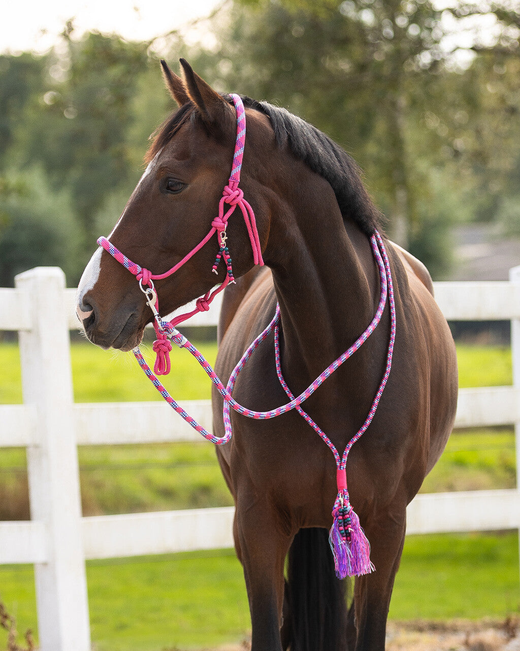 Rope halter combi Liberty