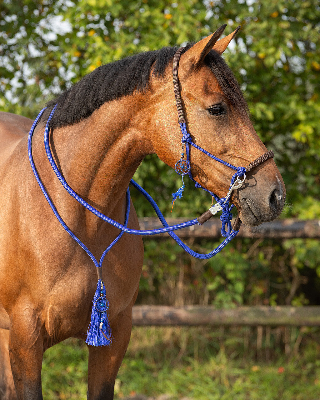 Rope halter combi Liberty