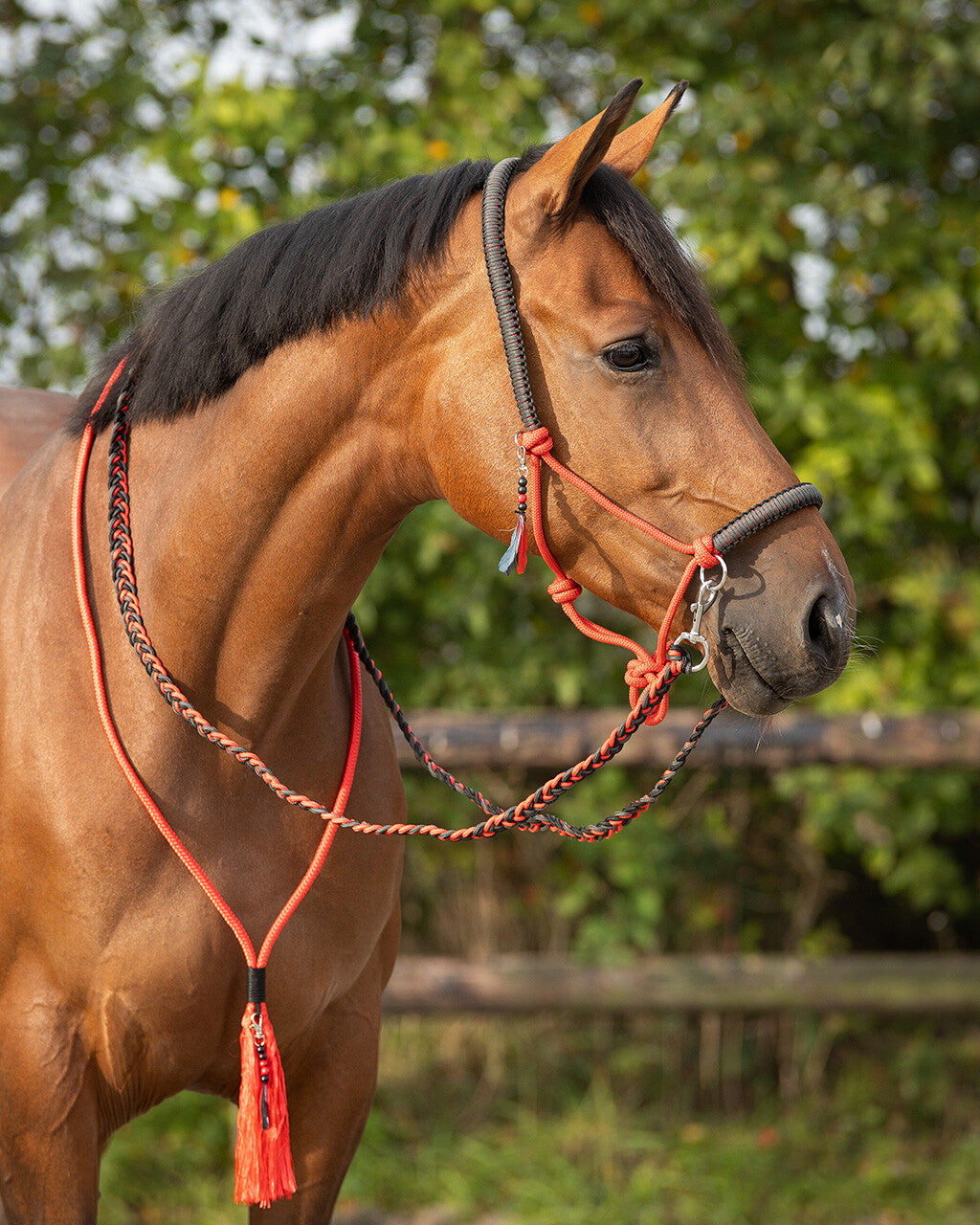 Rope halter combi Liberty