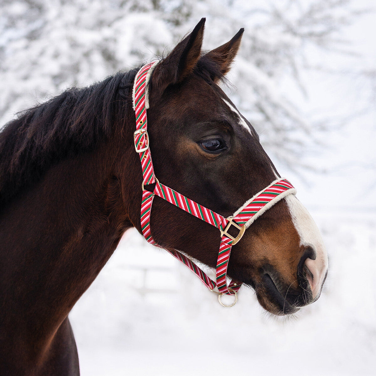 Head collar Christmas