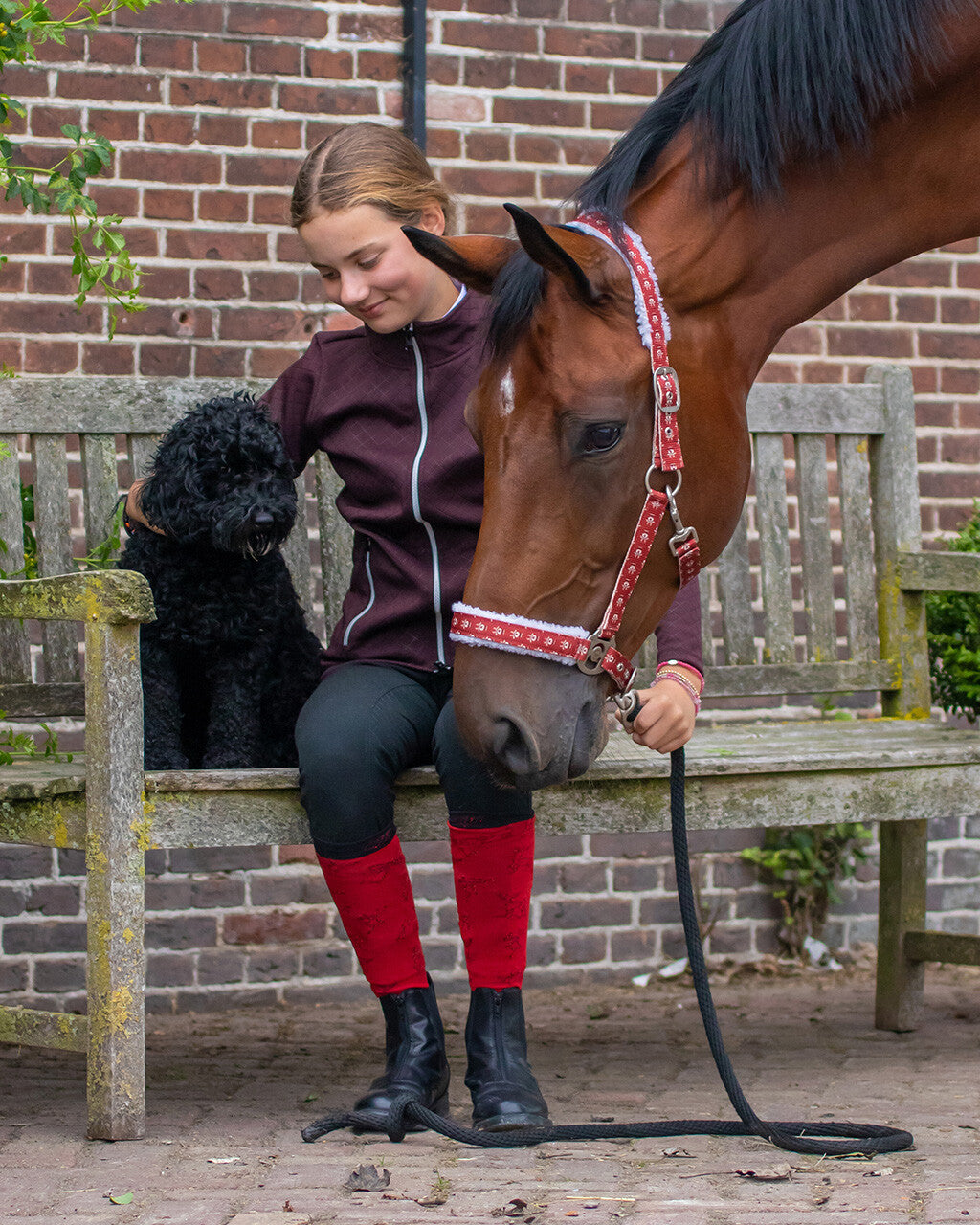 Head collar Christmas