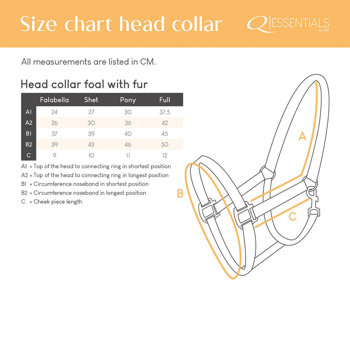 Head collar foal with fur