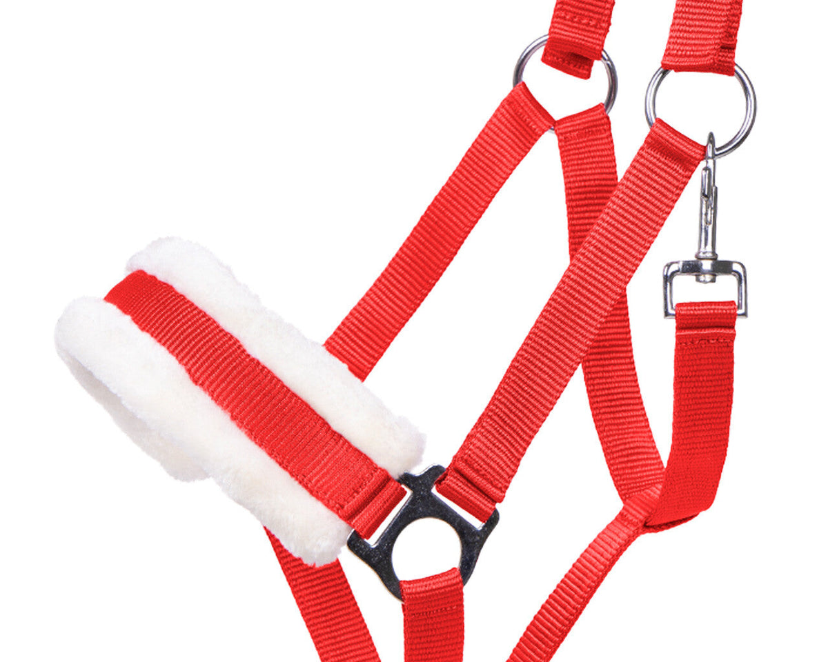 Head collar Cali