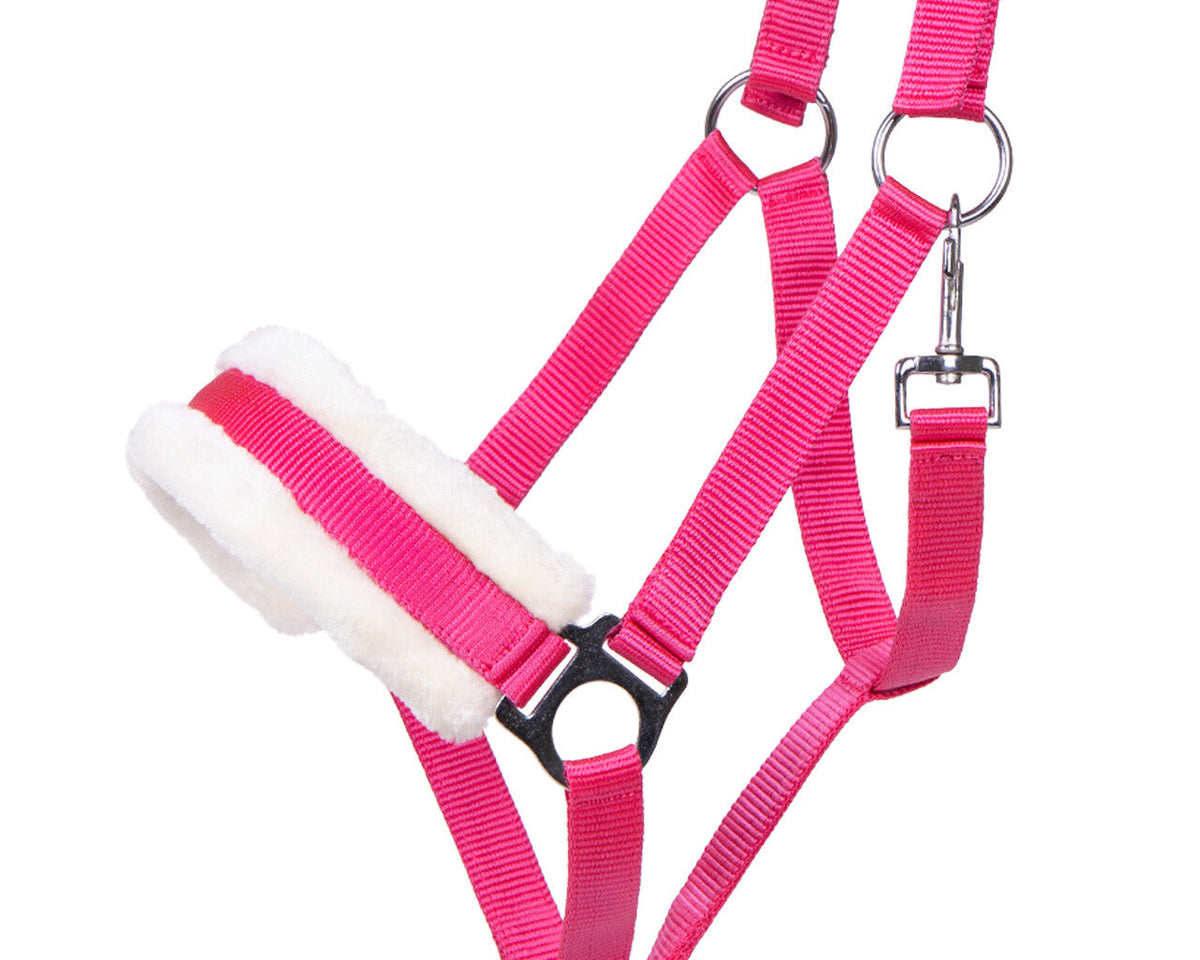 Head collar Cali
