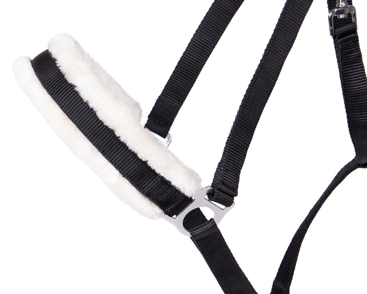 Head collar Cali draft horse