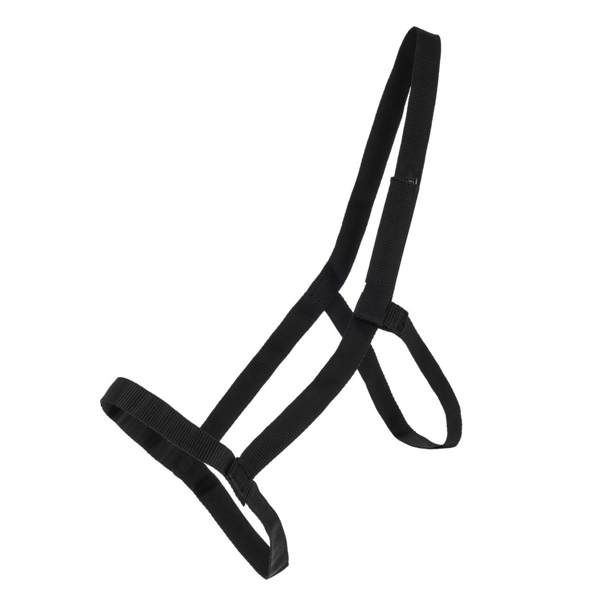 Field head collar