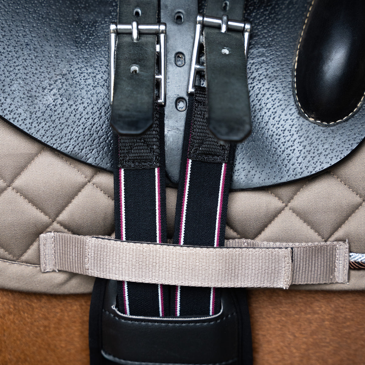 Anatomic neoprene girth IRHBasic