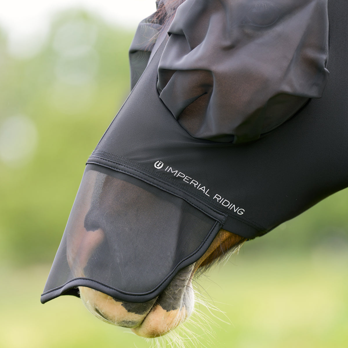 Flymask with nose IRHTrail ride