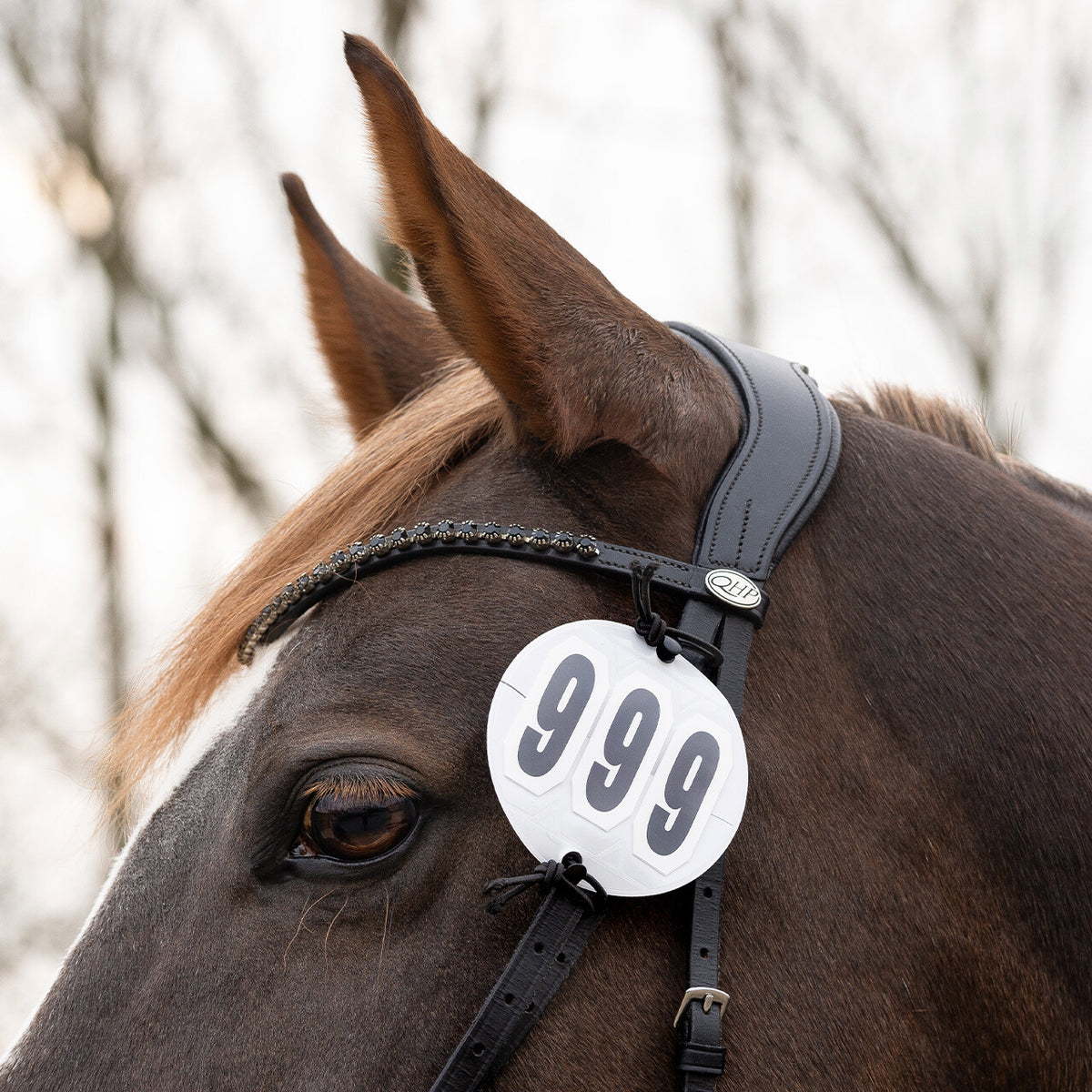 Number holders Prim (2-pack)