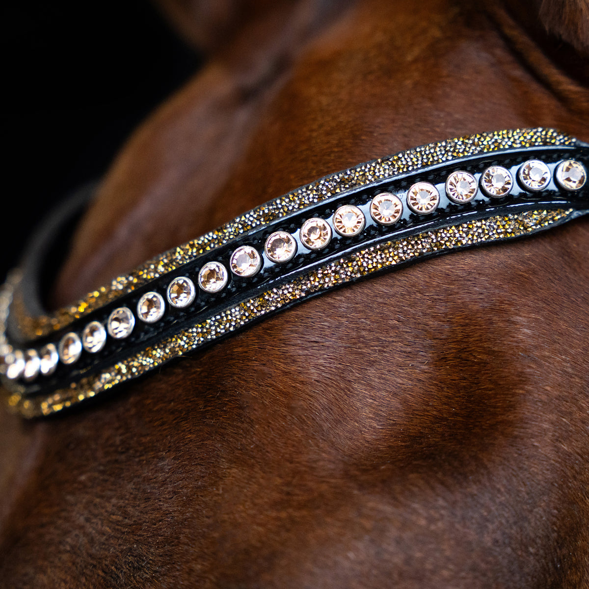 Browband IRHMaxima
