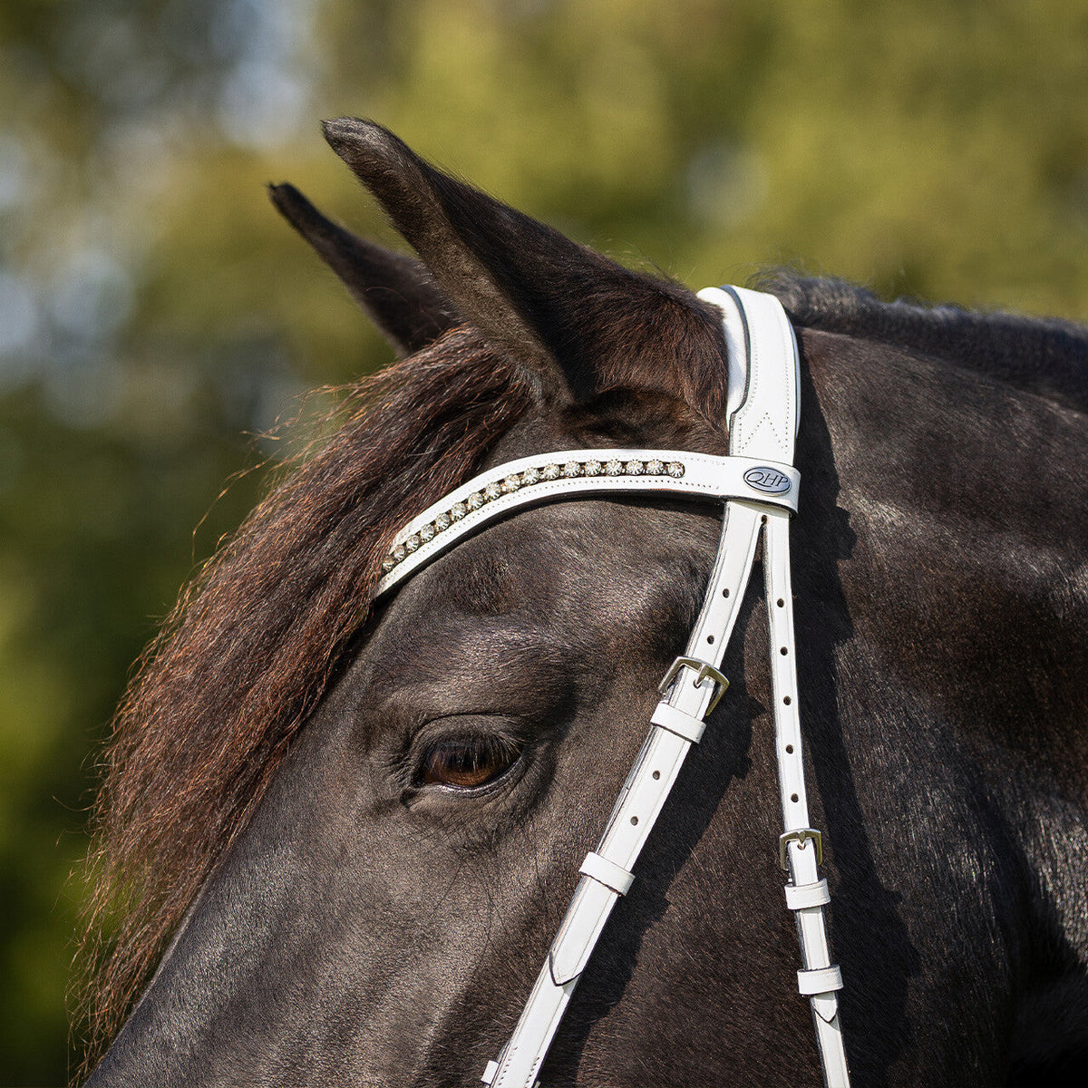 Show bridle Luxe