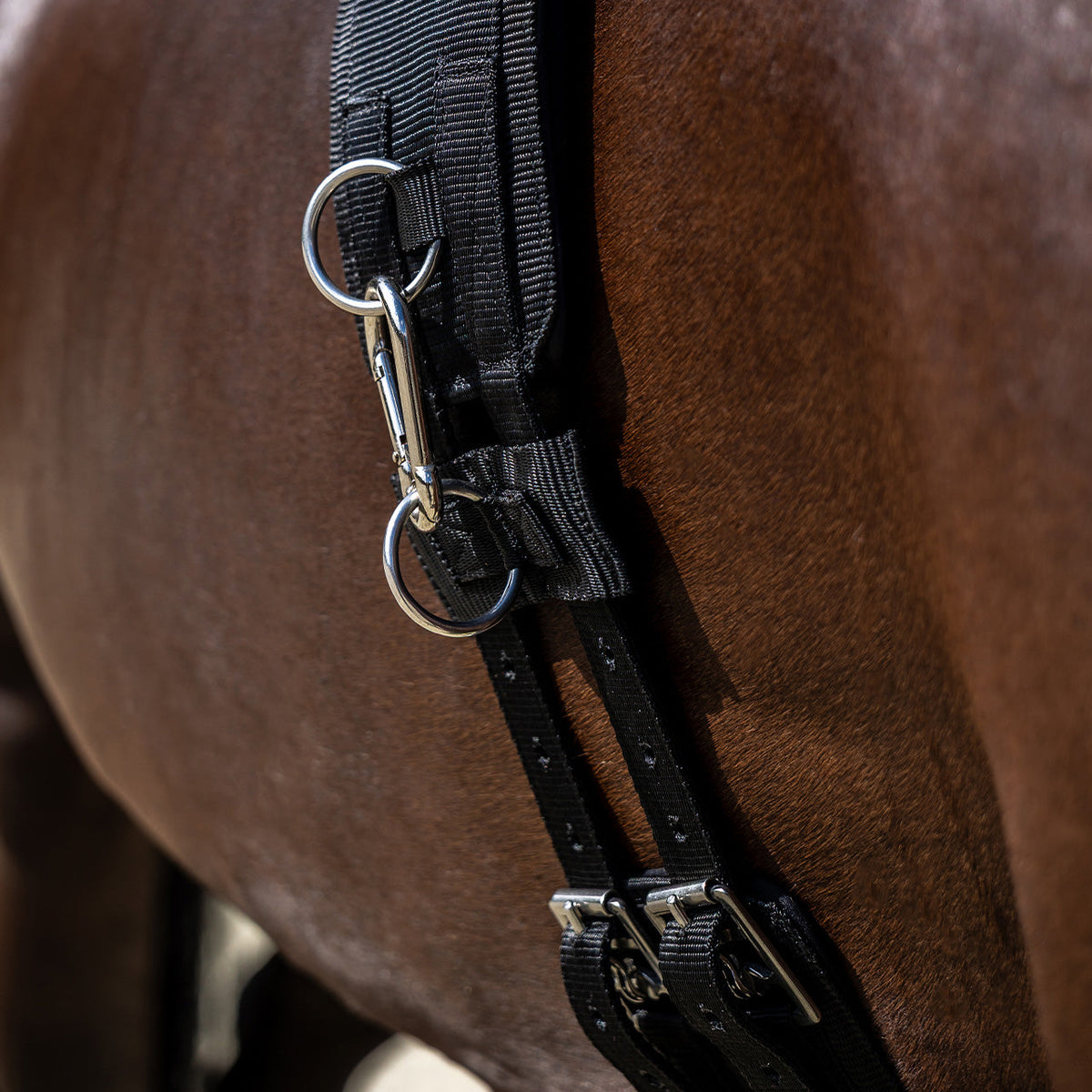 Lunging girth Padded