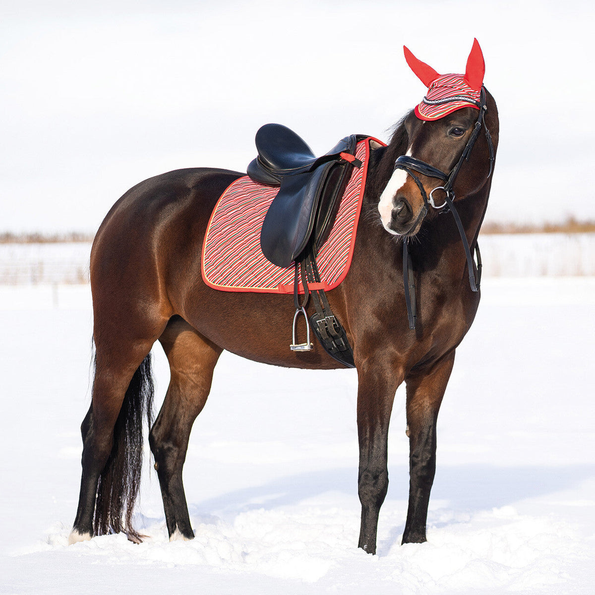 Saddle pad Christmas