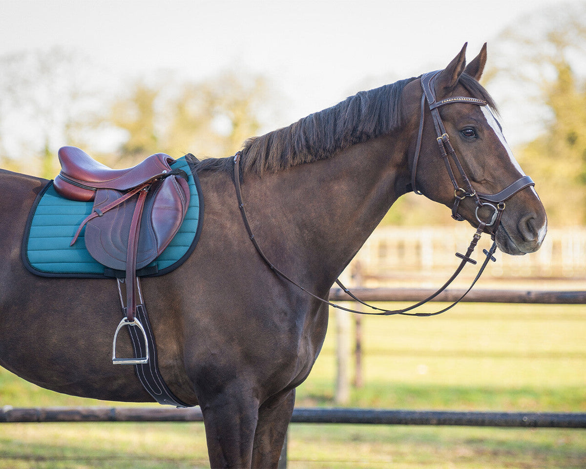 Saddle pad Victorio