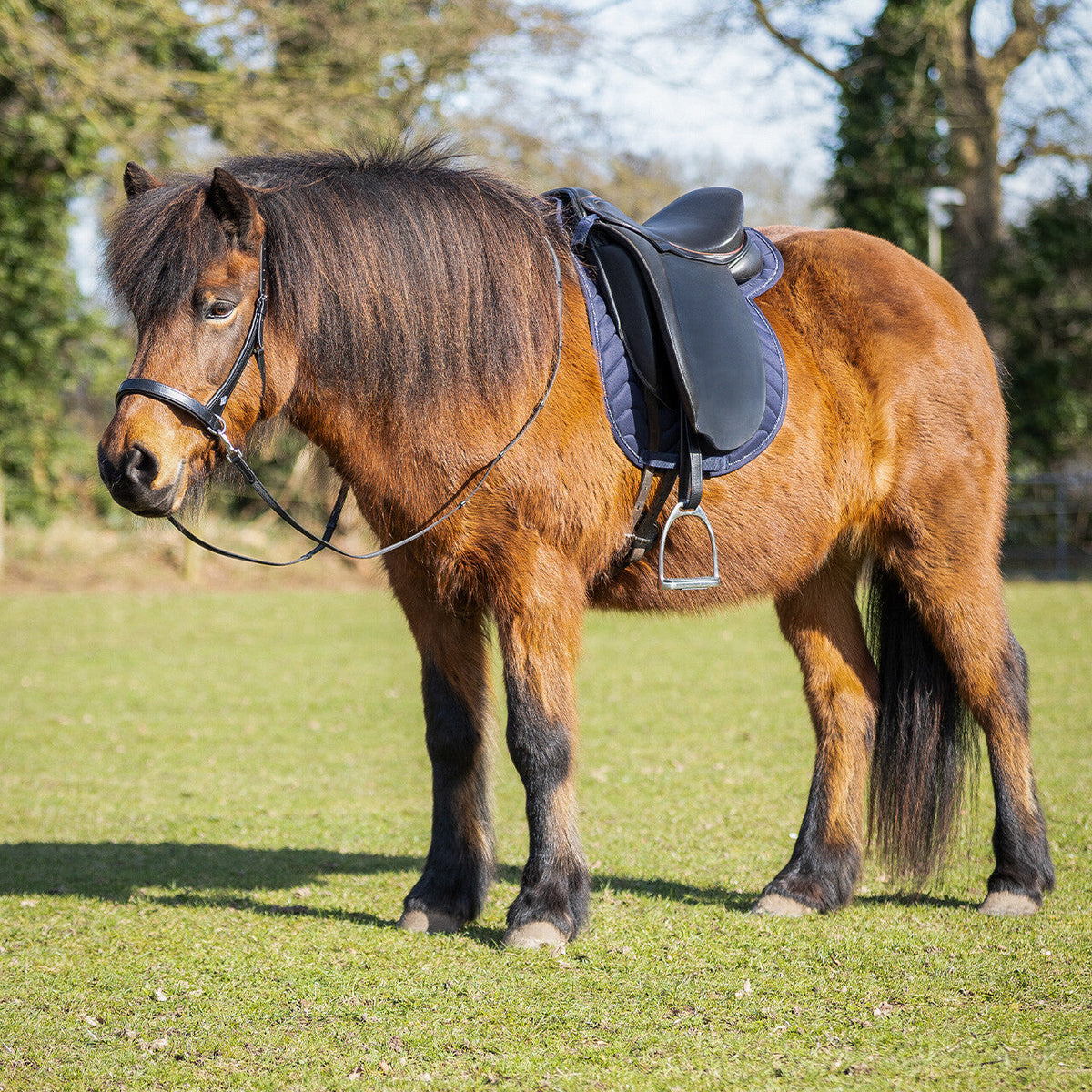 Saddle pad Fjara Icelandic