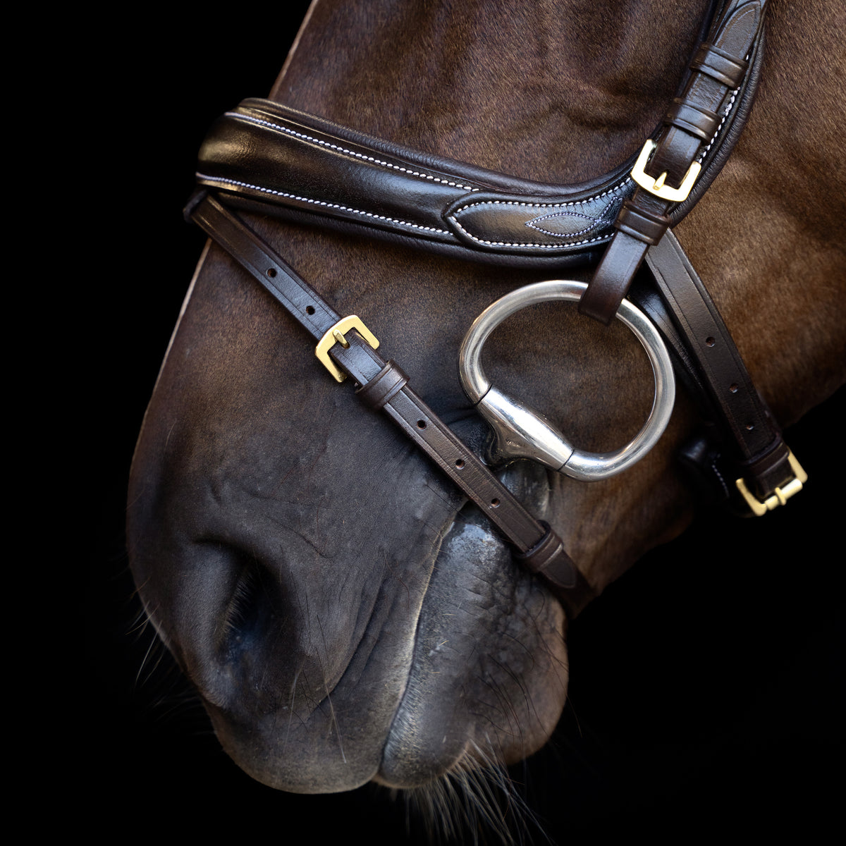 Bridle IRH with curved cut English noseband