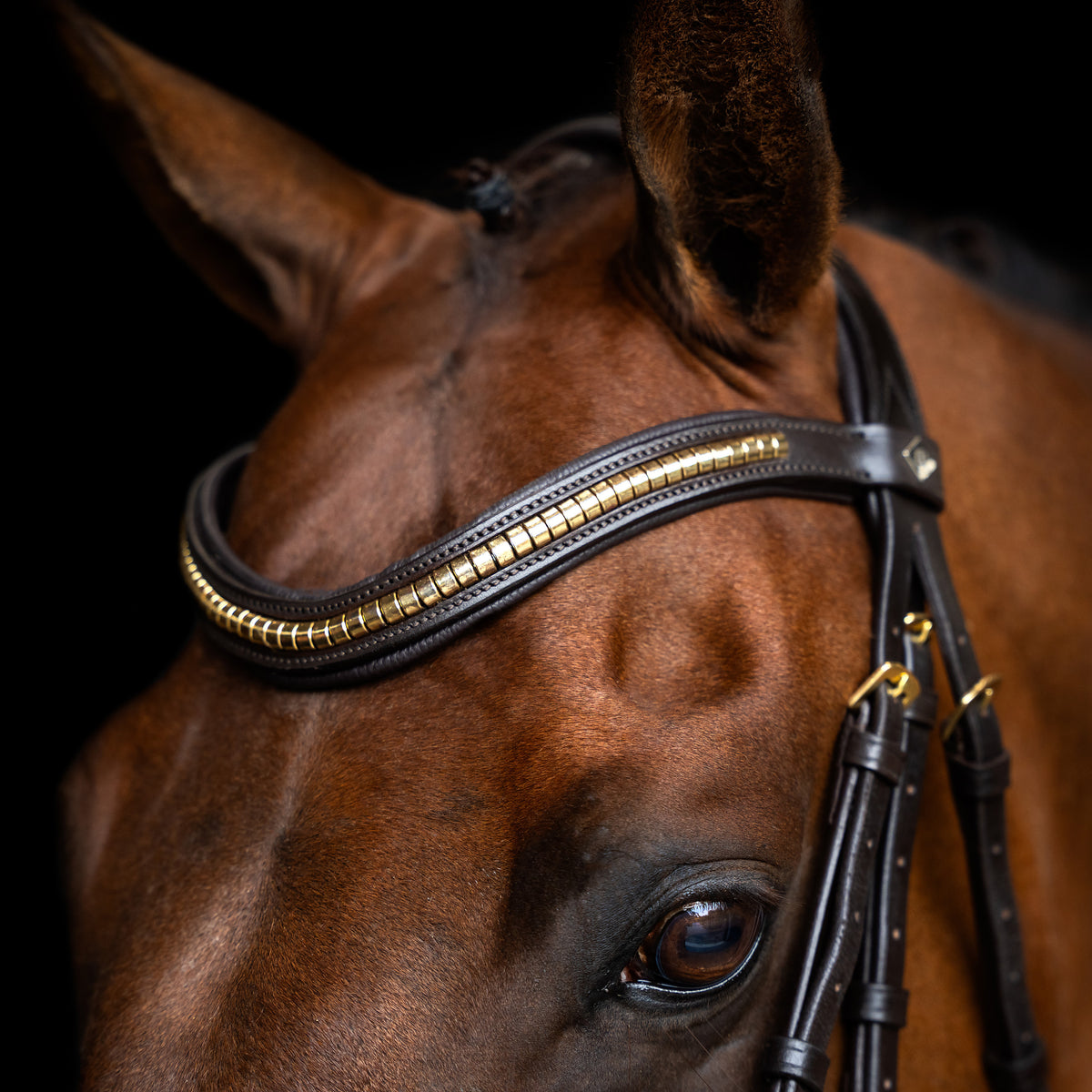 Bridle Mexican IRH