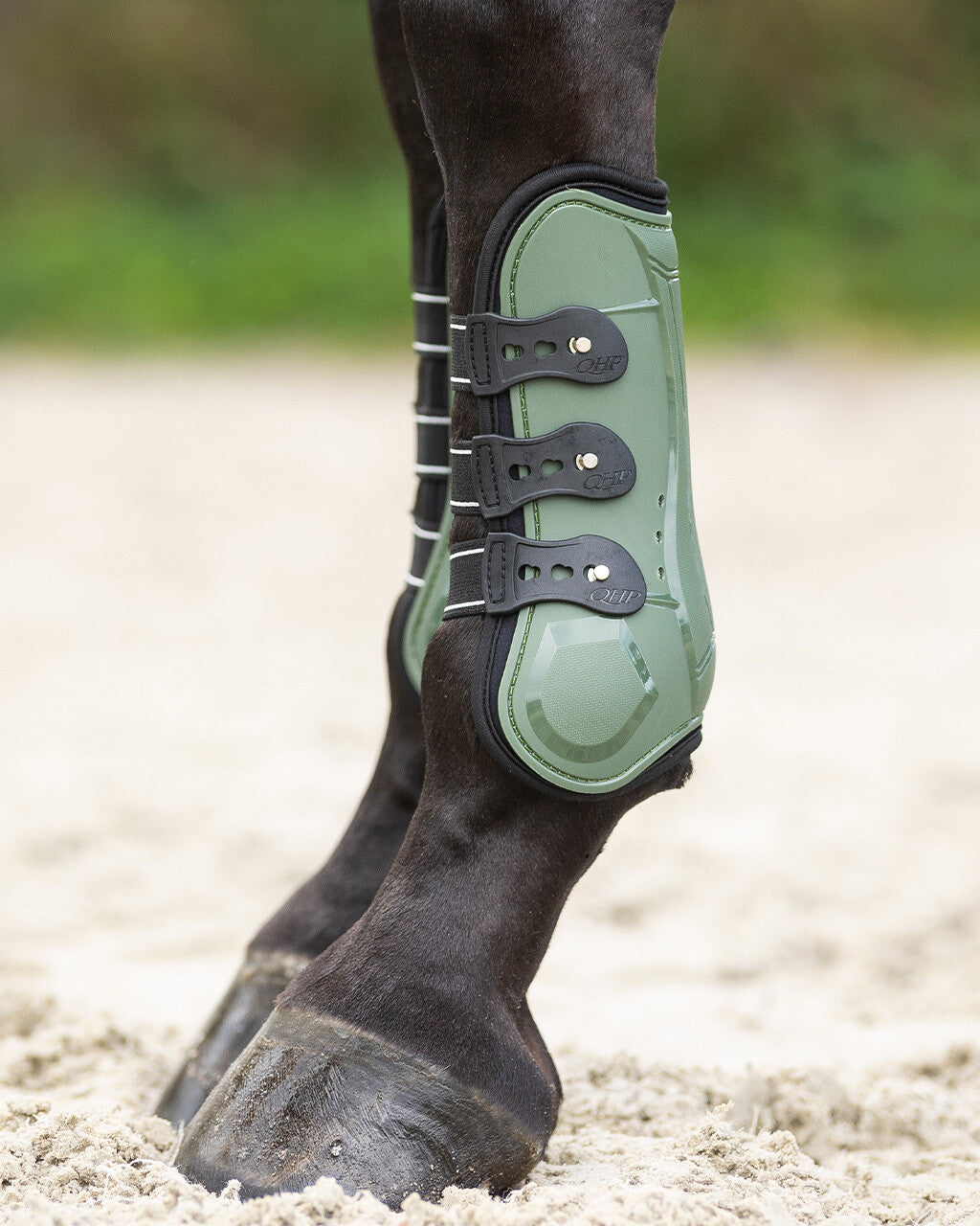 Tendon boots Champion