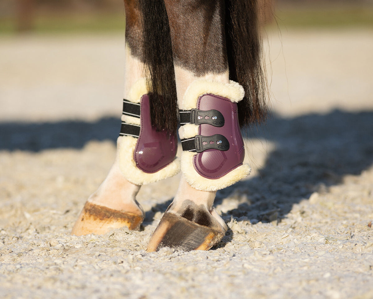 Fetlock boots Menton