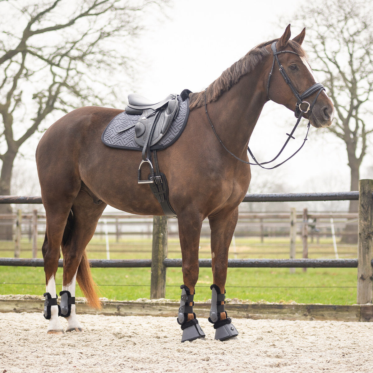 Fetlock boots Sensisoft