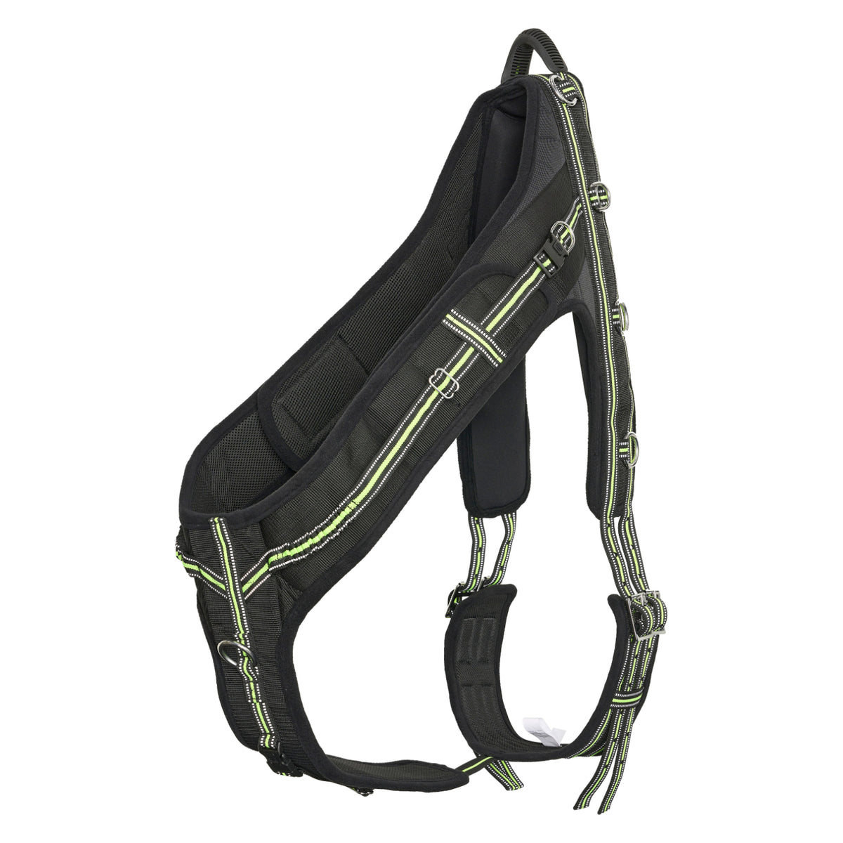 Lunging girth IRHNova
