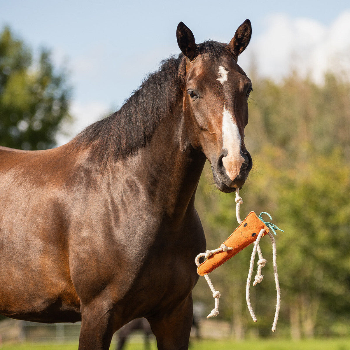 Horse toy