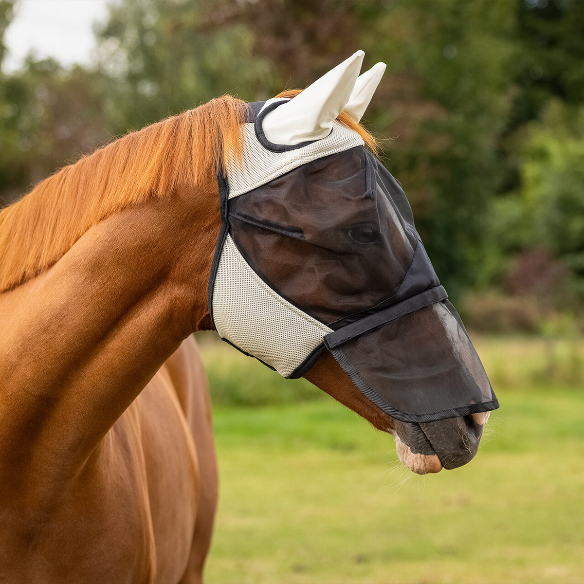 Fly Mask with detachable nose flap