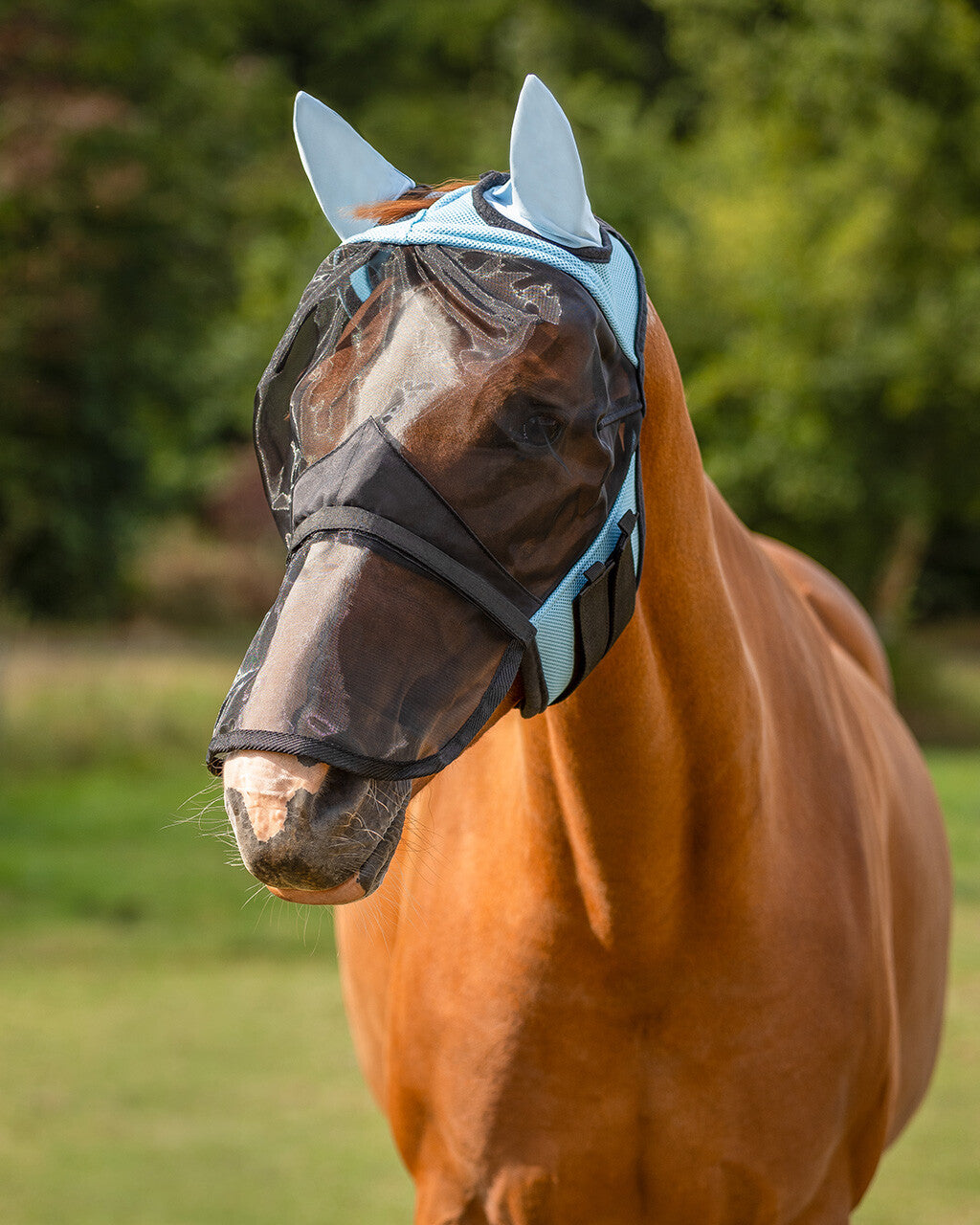Fly Mask with detachable nose flap