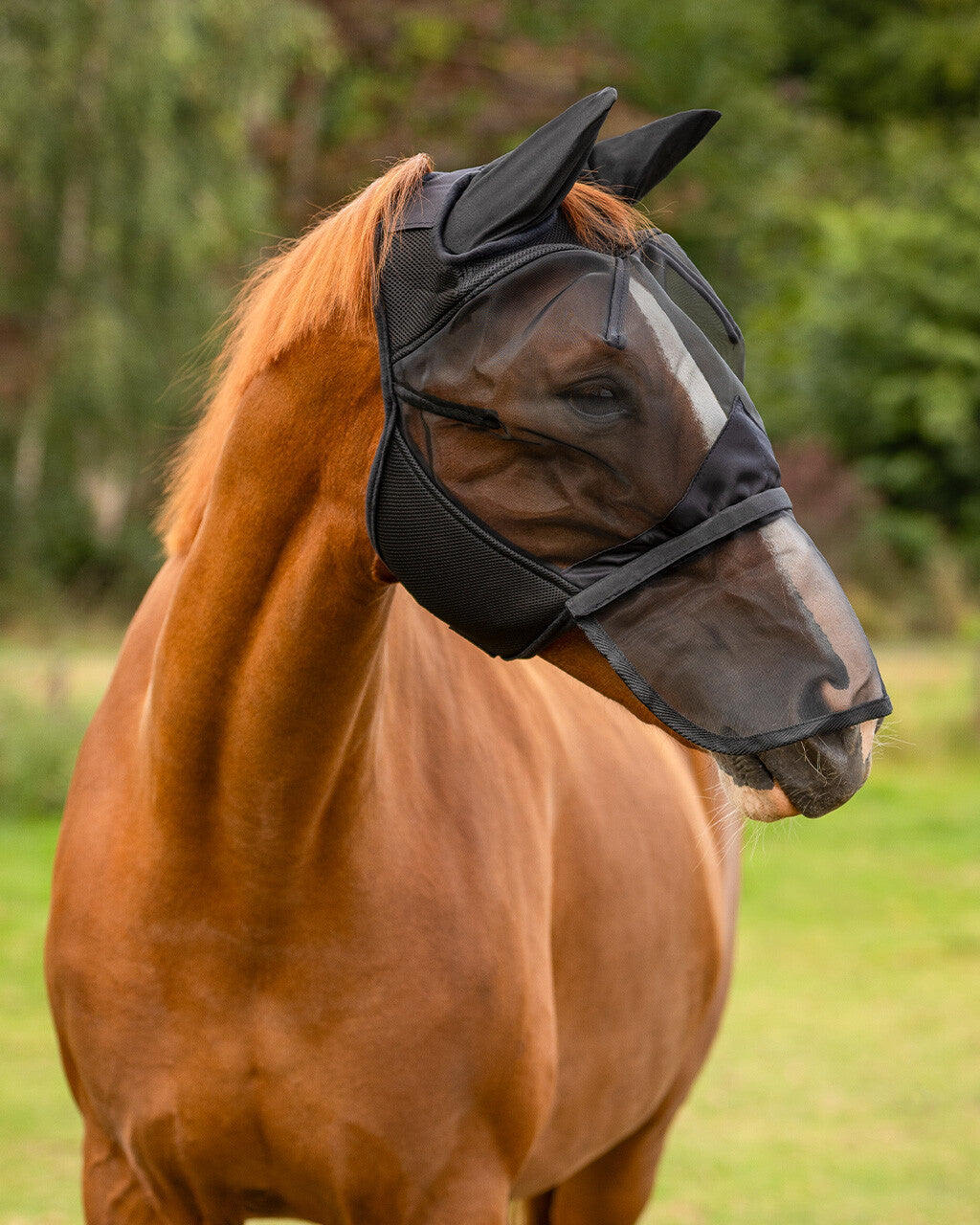 Fly Mask with detachable nose flap