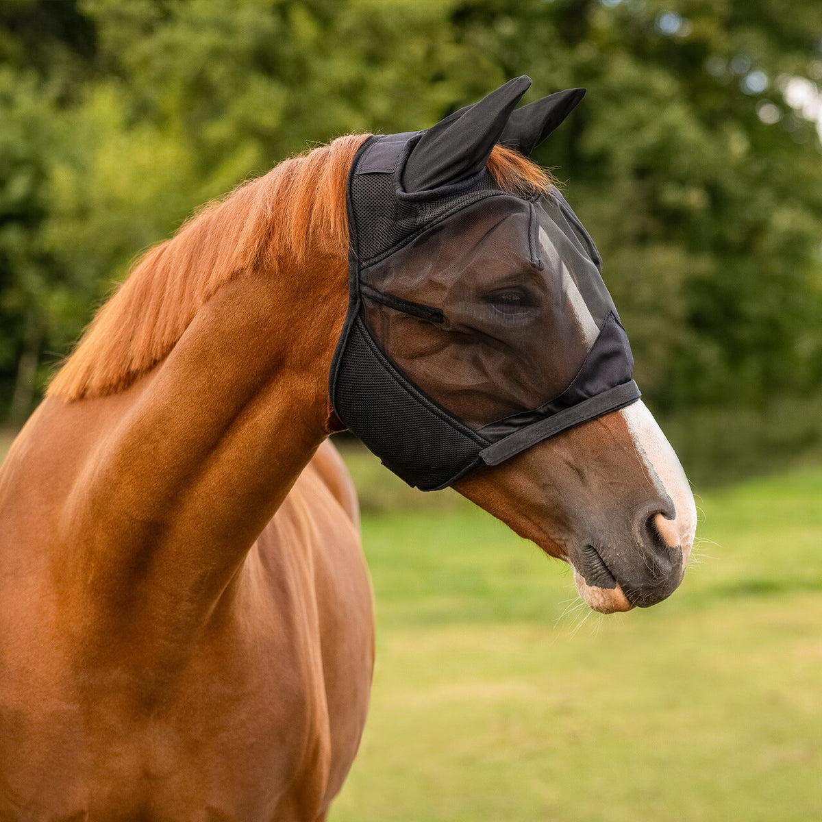 Fly Mask with detachable nose flap