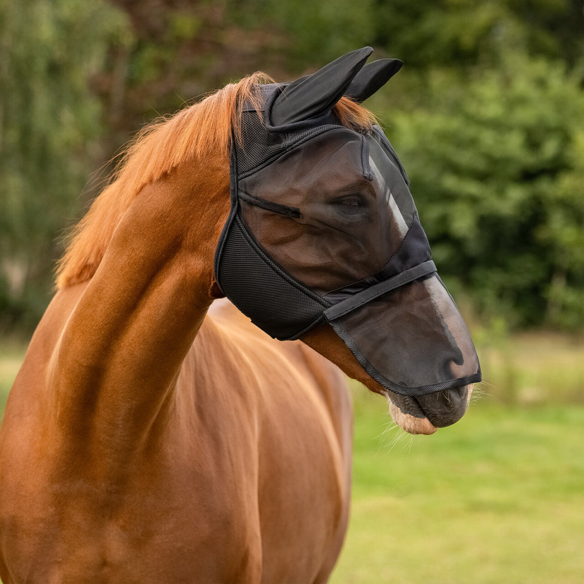 Fly Mask with detachable nose flap