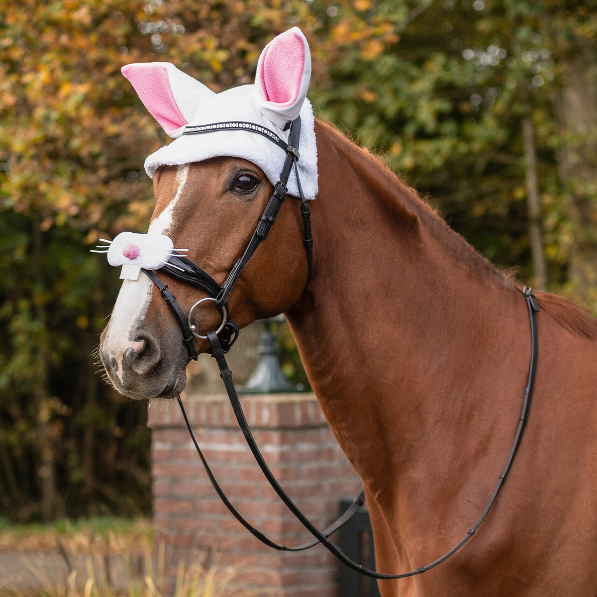 Easter bunny ears hat horse