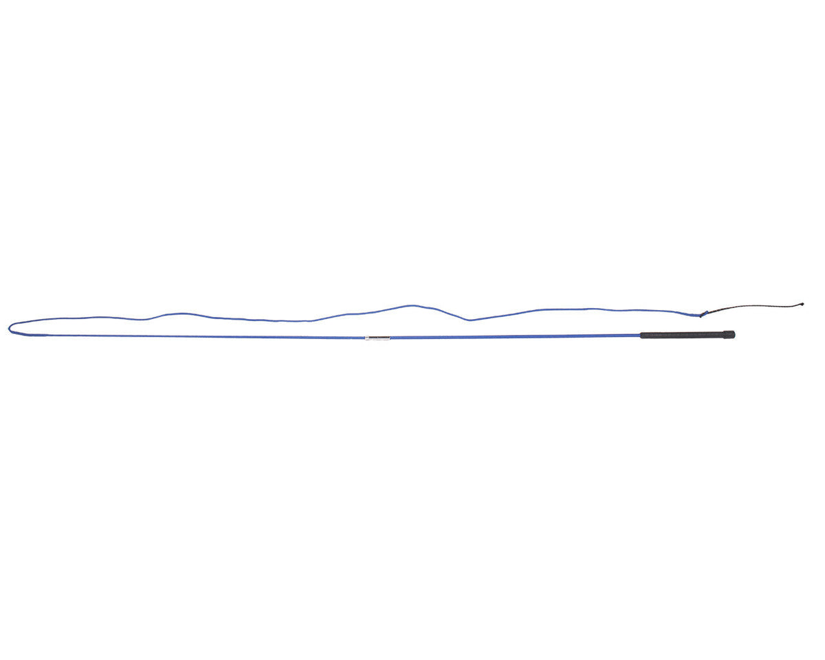 Lunging whip divisible