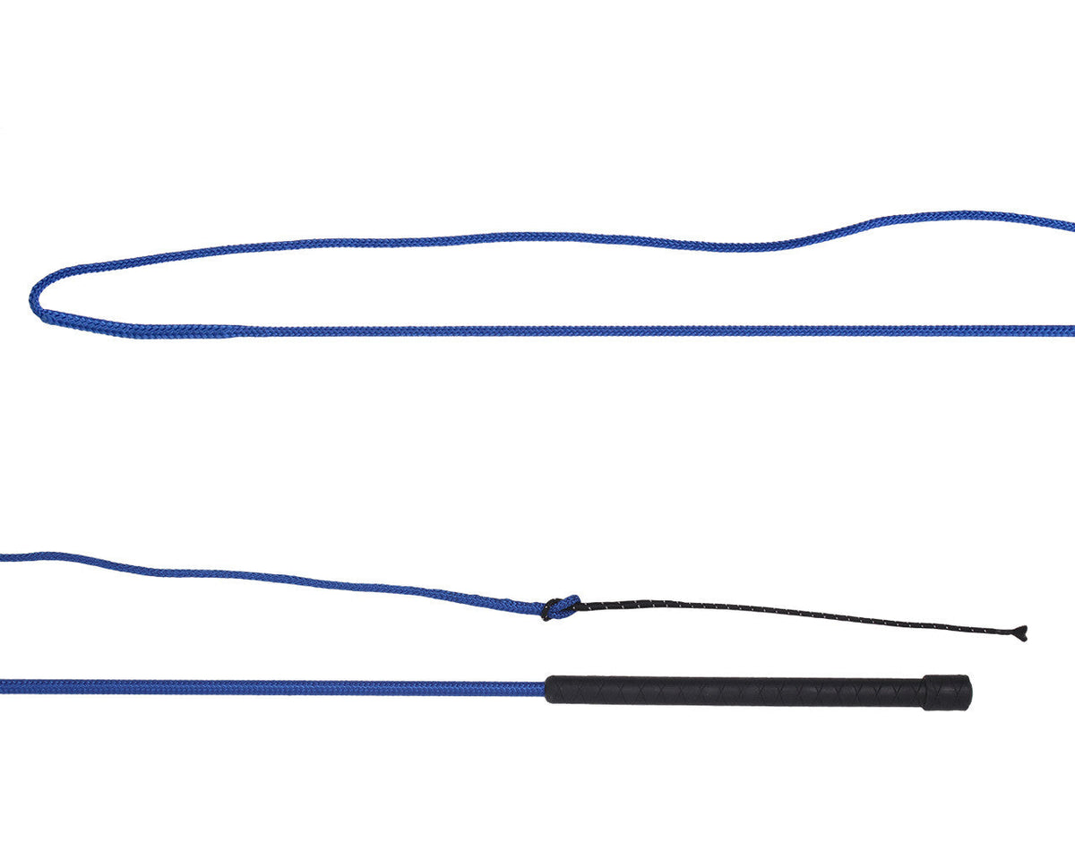 Lunging whip divisible