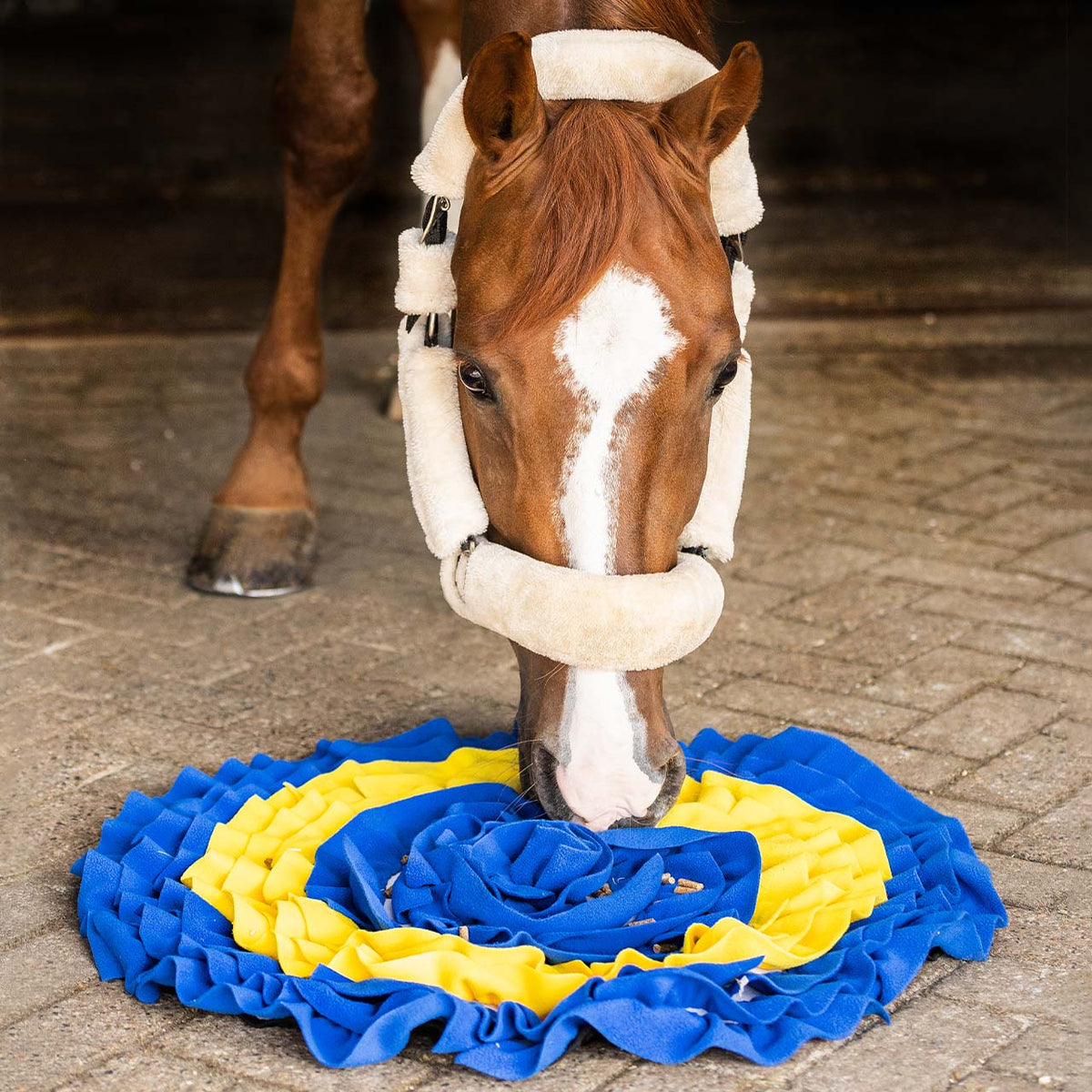 Snuffle mat for horses
