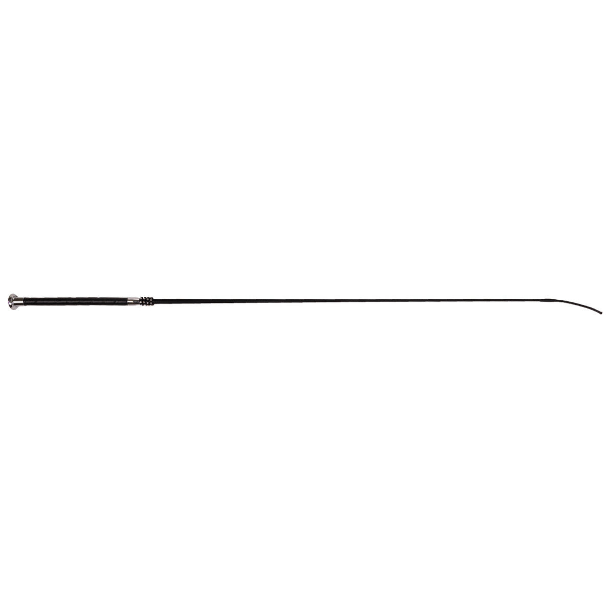 Dressage whip Shine