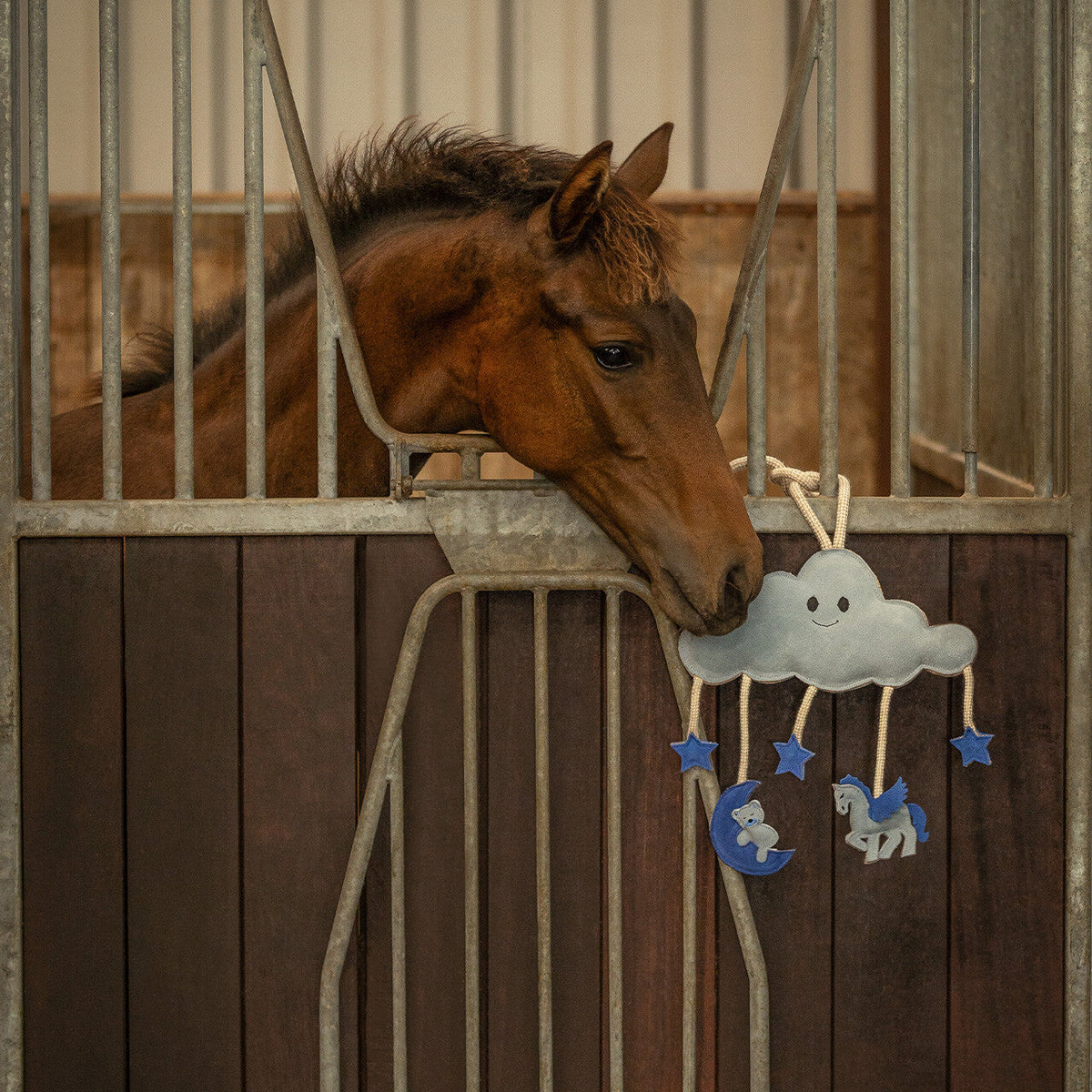 Horse toy Novy