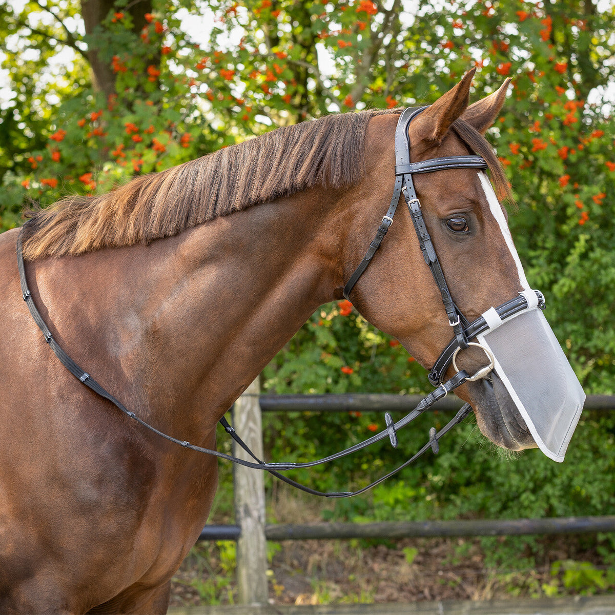 UV nose protection