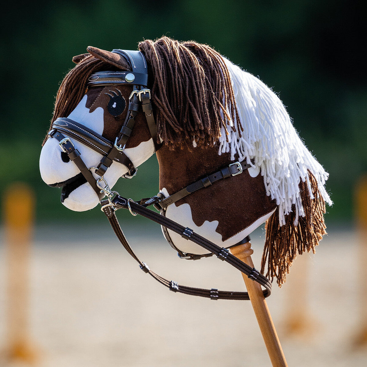 Hobby horse