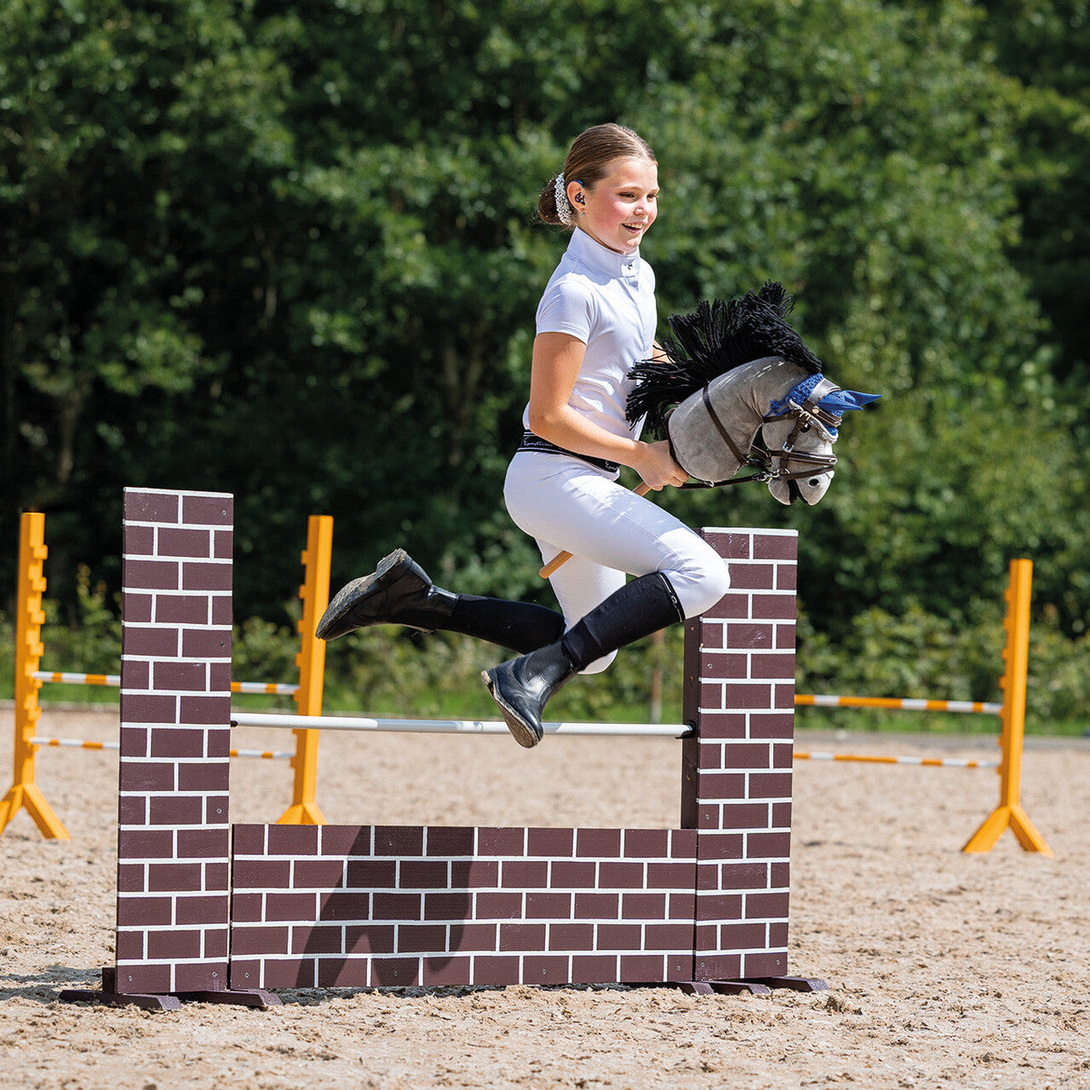 Martingale Hobby horse