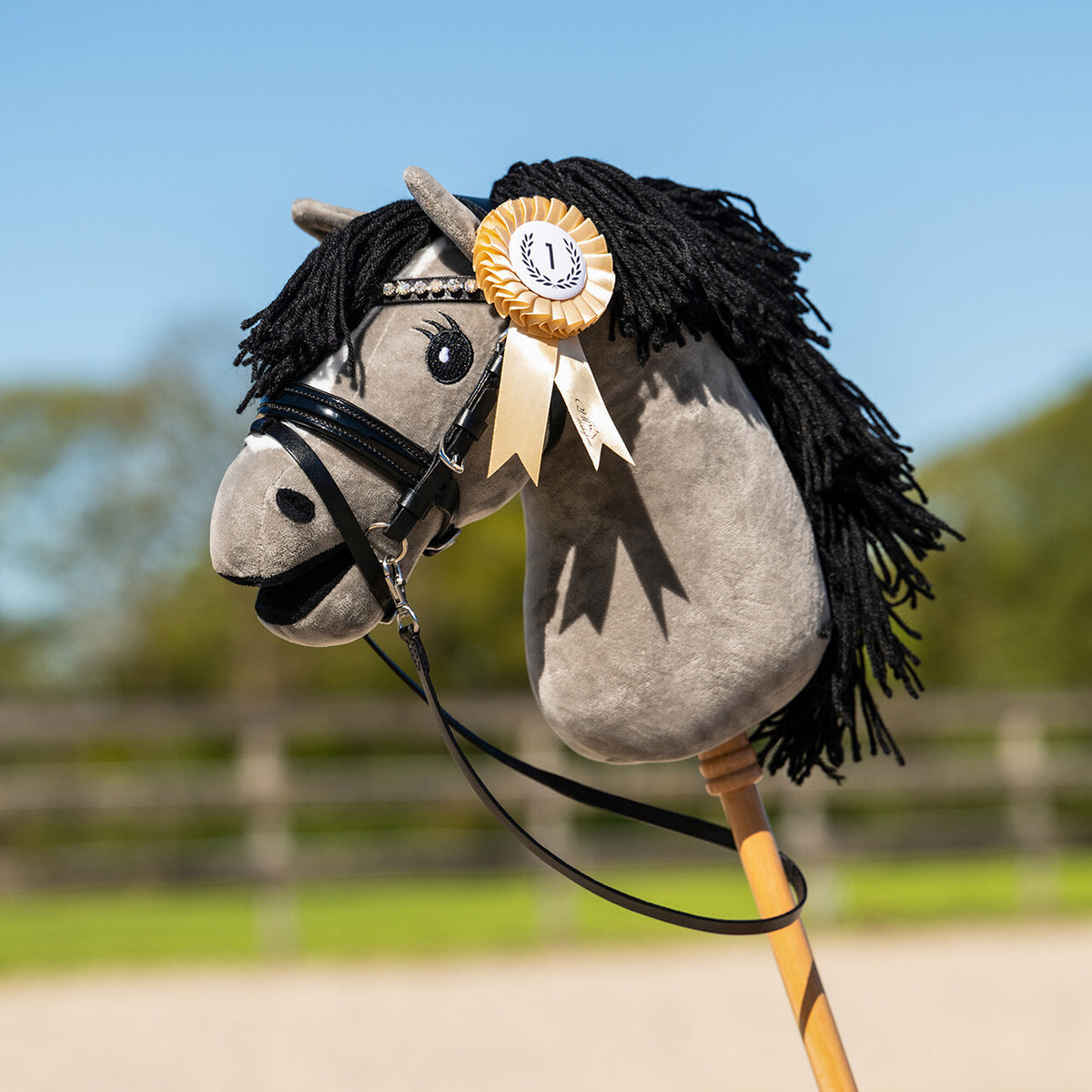 Rosette set Hobby horse