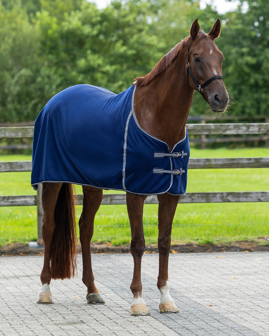 Fleece rug Basic without cross surcingles