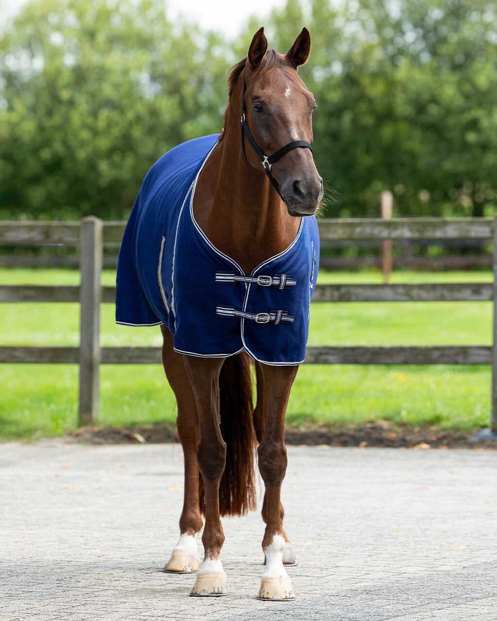 Fleece rug basic with cross surcingles