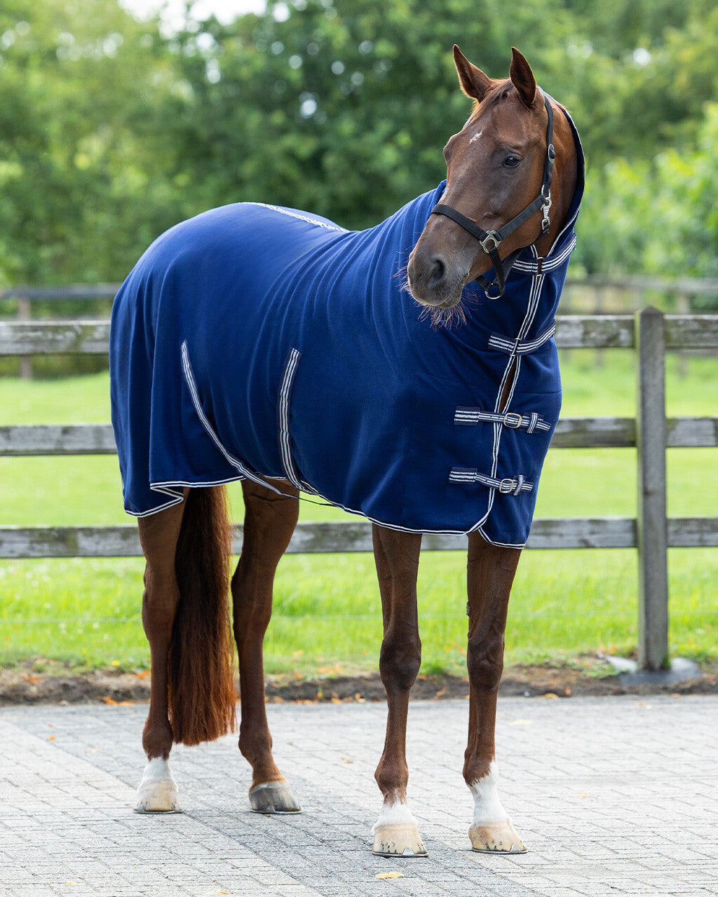 Fleece rug basic with neck